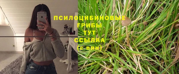 ГАЛЛЮЦИНОГЕННЫЕ ГРИБЫ Алексин