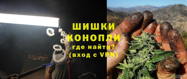 гашик Алексеевка