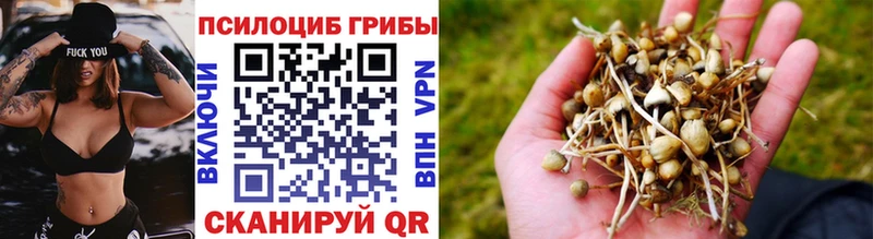 Псилоцибиновые грибы мухоморы  Балабаново 