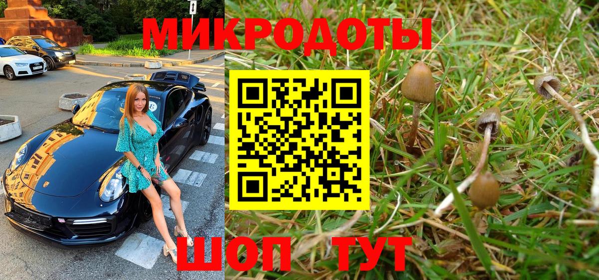 Балабаново  Галлюциногенные грибы Magic Shrooms  Вход с VPN 