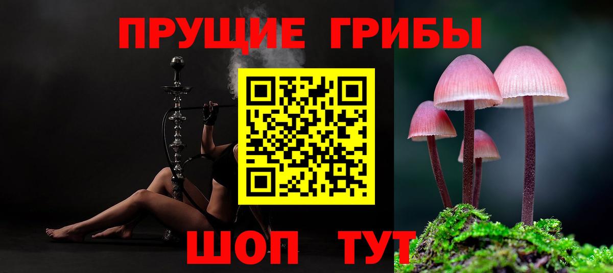 Псилоцибиновые грибы мицелий Балабаново